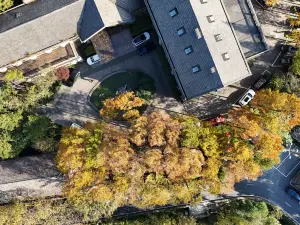 Moganshan Mountain Villa