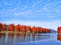 Qingteng Yisu (Yuyao Yangming West Road Fuxiang)