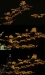 Monet Garden · Monet · Vacation View Art Light Luxury Designer Meisu - Romantic