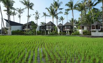 Jungle Flower Villas