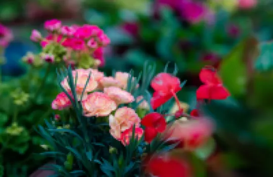 Tekes Fanshe Homestay (Nightclub of Bagua City)