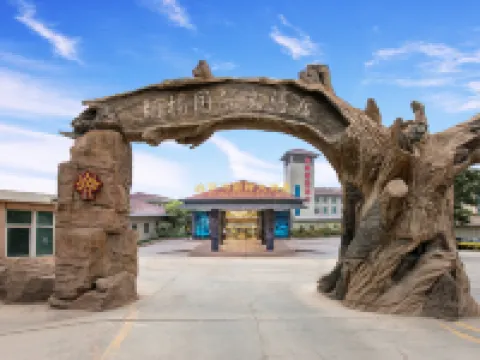 Bachu Populus Euphratica International Hotel (Shiji Avenue Branch, Bachu Pedestrian Street) Hoteles en Condado de Maralbexi