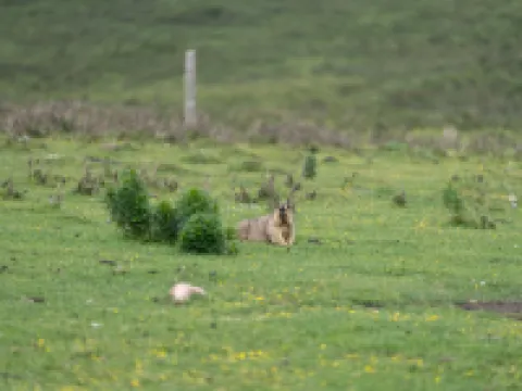 天祝暻閣酒店 天祝酒店