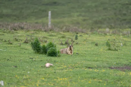 Tianzhu Yunjv Hotel (Tianzhu High-Speed Railway Station) Отели рядом со станцией Tianzhu Railway Station