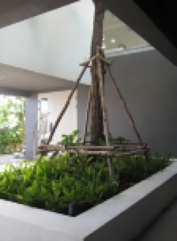 Pinepilla Poolvilla Huahin