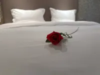 Scenery Hotel
