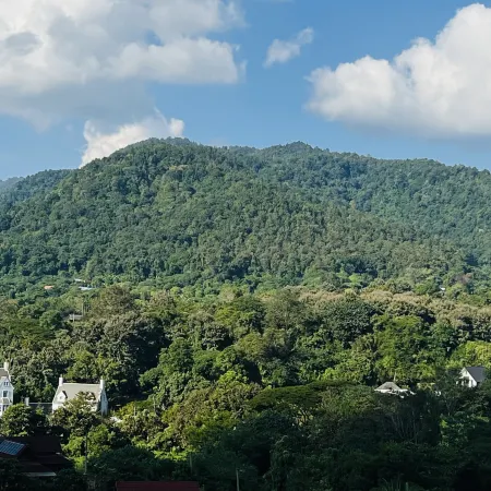 Hillsborough Chiang Mai