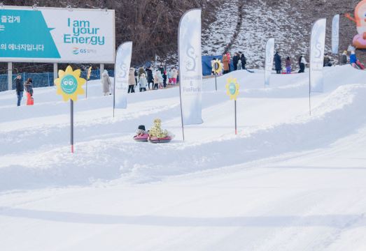 엘리시안 강촌 리조트