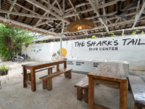 The Shark's Tail Dive Resort Hotels in Logon