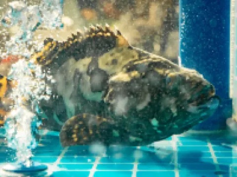 Zhouyi International Hotel Hotels in Mengla