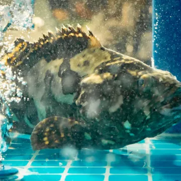 Zhouyi International Hotel