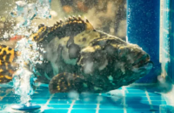 Zhouyi International Hotel