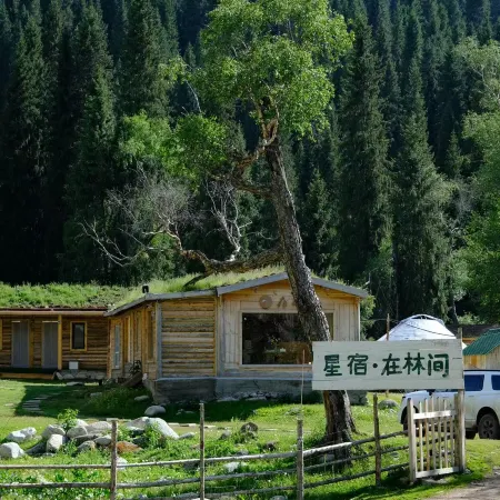 Xingxiu·In the Forest B&B