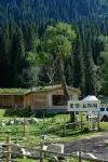 Xingxiu·In the Forest B&B - Airport Shuttle