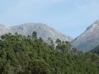 House of the Azereiro Hotels in Seia