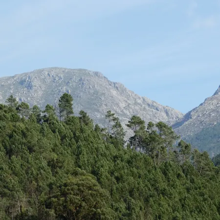 House of the Azereiro