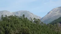 House of the Azereiro