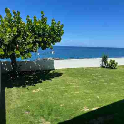 Ocean Rhythms II- New, Stylish Oceanfront 888 Studio Hotel Exterior