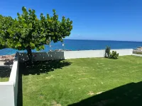 Ocean Rhythms II- New, Stylish Oceanfront 888 Studio Hotel di 