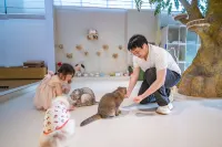 Nanfeng Cat Café Hotel - 주방