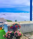 One day Phu Thap Boek - Mountain view
