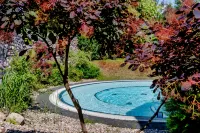 Sunday Resort Marina Wolfsbruch - プール