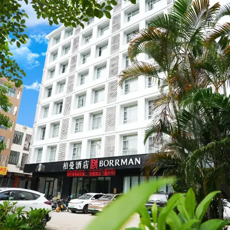 Borrman Hotel (Danzhou Nada Xiari Square)