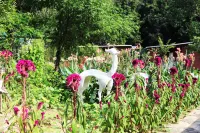 Huashenli Yeshe Tent Hotel - 2 ดาว
