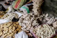 กริยา เออร์ลังกา โฮมสเตย์