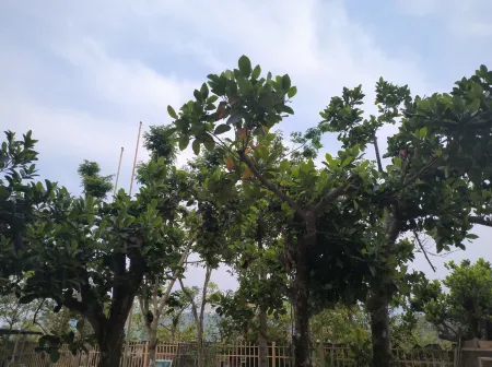 Ximeng Qilong Hotel Отели в г. Симэн