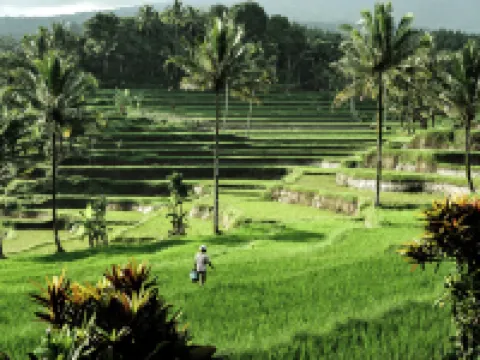 Ijen Resort and Villas - The Hidden Paradise Hotels in Licin