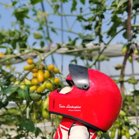 Suzhou Tonino Lamborghini Rosso Hotel