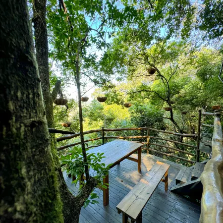 LiuLangCheng  Xiancao Secret Realm Homestay