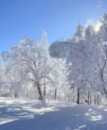 Oriental Holiday Inn Snow Town