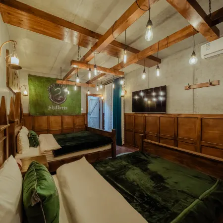 The Magic House of the Fugitive Wizard