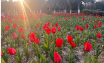 Home Inn (Xuefu Road Subway Station Branch, Nanbu Business District, Ningbo)