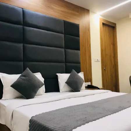 Hotel Urban Lion - Delhi Airport Отели рядом с достопримечательностью «Университет Джавахарлала Неру»