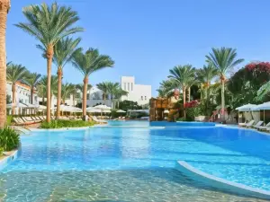 Baron Palms Adults Friendly Only 16 Years Plus Boutique Hotel Style