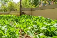 Dalian Xidian Homestay Отели в г. Зона экономического развития Lushun/Порт Lushun