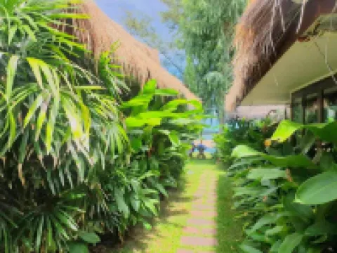 The Bora Bora - Bed and Dream