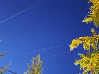 Yunxi Xiaozhu Homestay - Mountain view