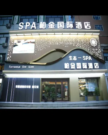 Platinum International Hotel (Tongjiang Russian Style Park Branch) Отели в г. Тунцзян