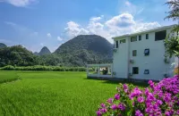 Longfu Rice Field Homestay (Longgong Scenic Area)