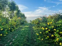 Golden Hill Di Linh  호텔