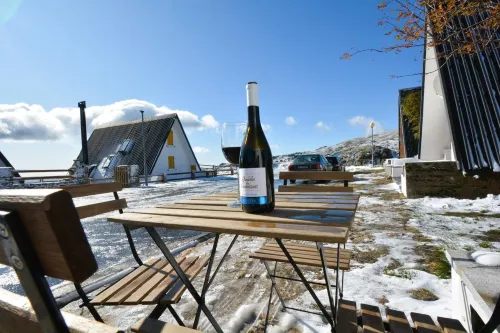 Cozy Chalet - Penhas da Saúde Serra da Estrela