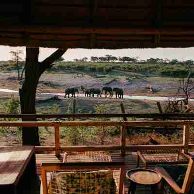 Savute Elephant Lodge Rooms