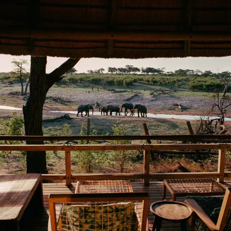 Savute Elephant Lodge