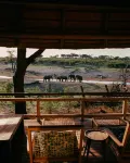 Savute Elephant Lodge