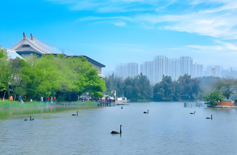 Urba S Hotel (Xiamen Gaoqi International Airport) photo 3