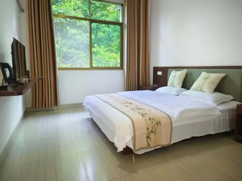 Taoyuan Homestay - غرفة مطلة على الجبل